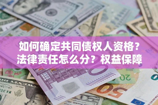 北京如何确定共同债权人资格？法律责任怎么分？权益保障技巧揭秘！