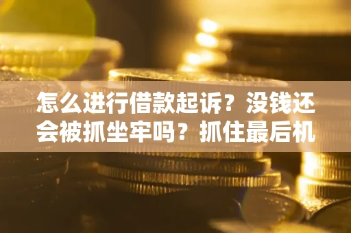 北京怎么进行借款起诉？没钱还会被抓坐牢吗？抓住最后机会！