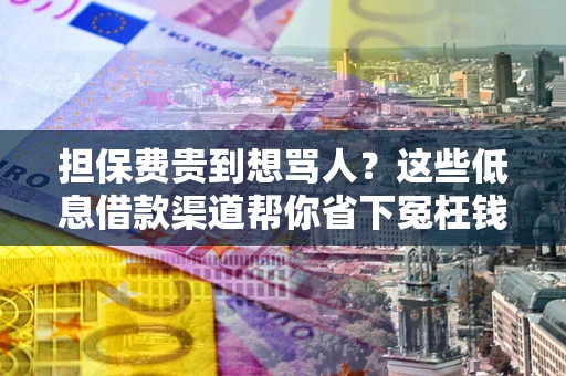北京担保费贵到想骂人？这些低息借款渠道帮你省下冤枉钱