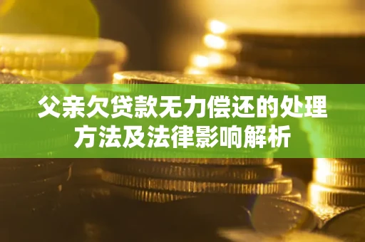 北京父亲欠贷款无力偿还的处理方法及法律影响解析