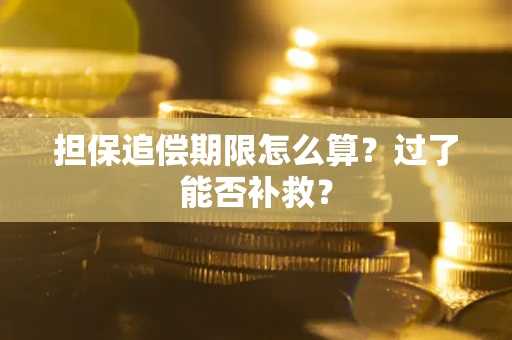 北京担保追偿期限怎么算？过了能否补救？